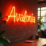 Cross-Pattform Desktop Apps mit Avalonia programmieren.