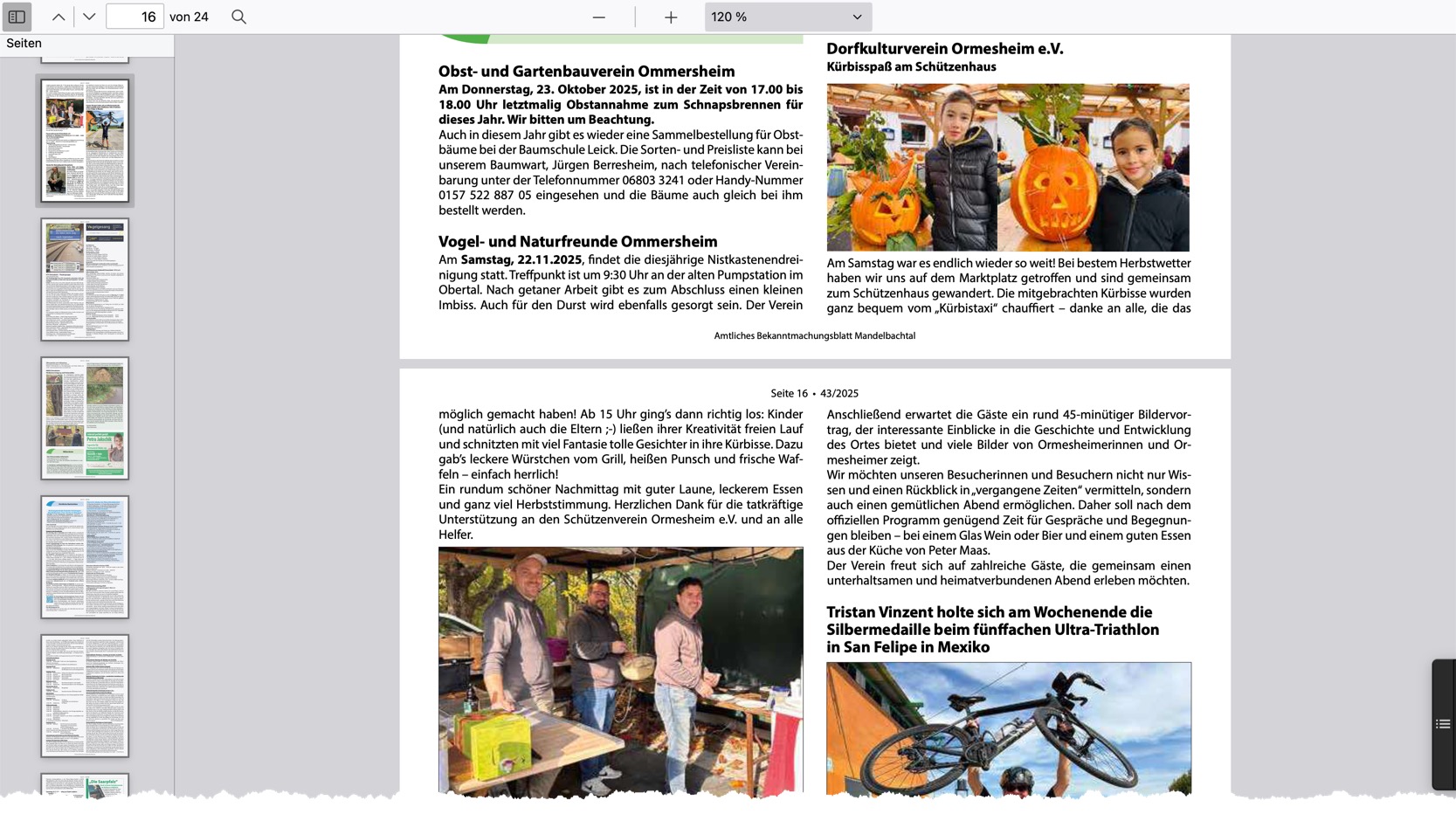 WordPress PDF-Reader