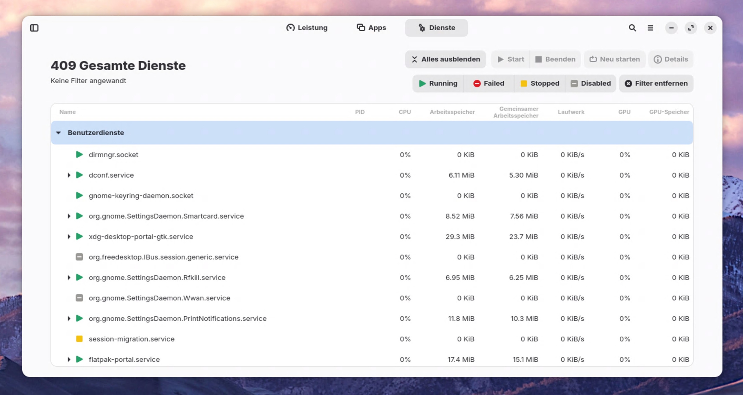ZorinOS: Mission Center Dienste